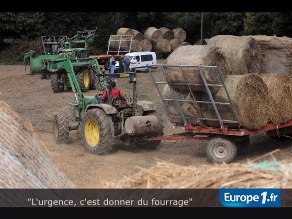"L'urgence, c'est de donner du fourrage"