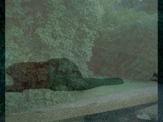 JBM - Going Back Home