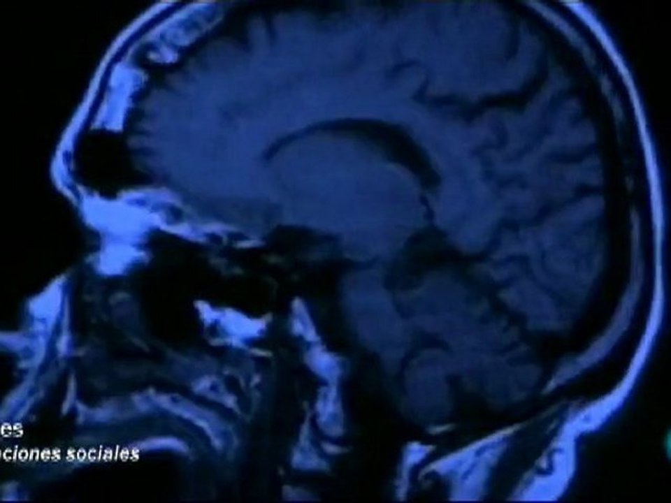 Relaciones sociales: El numero de Dunbar (150)