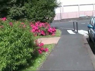 Proverbe choisi par MICHOU W-D. D.  "MIEUX VAUT TARD QUE JAMAIS3