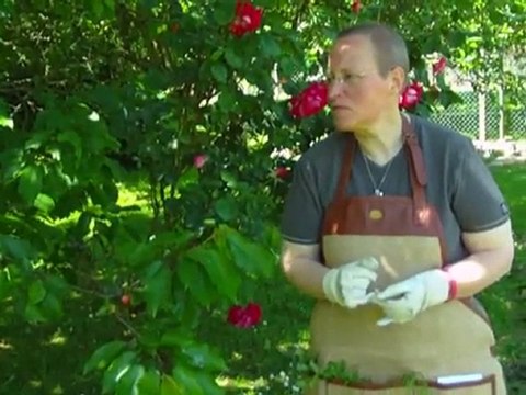 Bêtisier de Moi, j'aime les mauvaises herbes !