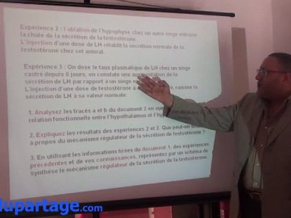 Révision SVT : la fonction reproductrice chez l'homme