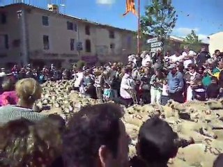 transhumance des moutons