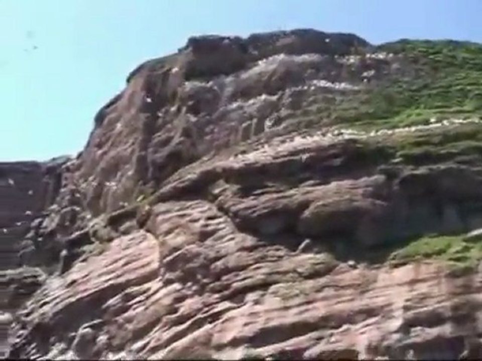 Ile Bonaventure - Rocher Percé - Fous de Bassan - sur La RPV
