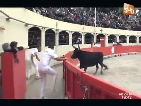 Féria de l'Ascension à Alès: La Camargue debout!