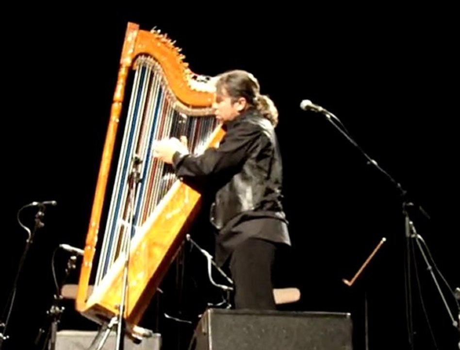 Festival Les cordes Pincées à Joué Les Tours -France....Titre  Alegria en enero