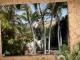 Hernandez Tree Service Riverside Palm Care & Demolition | Riverside Ca 92507 | Tree Trimming | Tree Care | Fence Companies | Riverside  Landscaper
