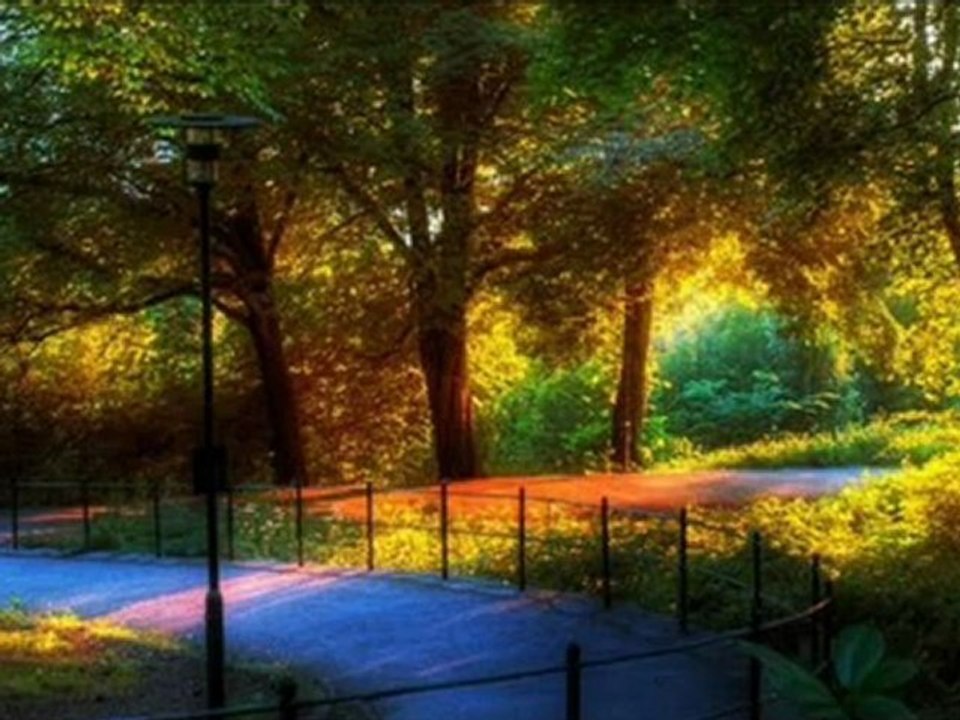 Kumar Sanu  Asha Bhosle -Chehra Kya Dekhte Ho (Salaami 1994)