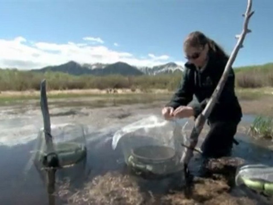 A Park For All Seasons (4 DVD Set) || Trailer