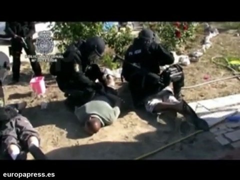 Desarticulan red de tráfico de drogas