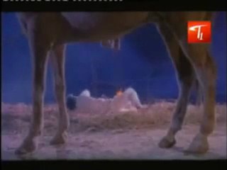 Khaidi Annayya - Malli Malli Malliyalu poose