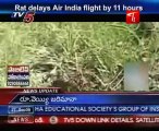 Rat delays Air India flight by 11 hours