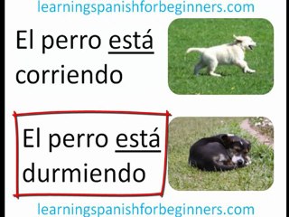 Learning Spanish for Beginners - Ser vs Estar - 1