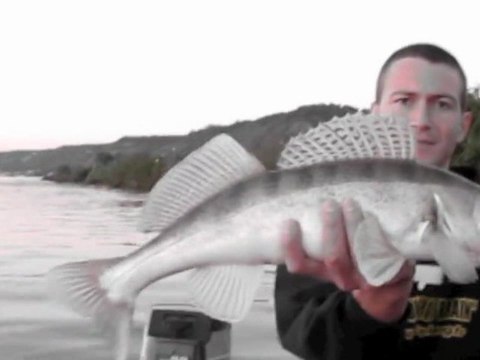 Pêche sportive en Seine (secteur maritime) II