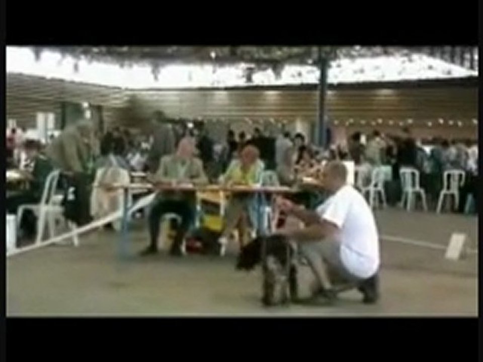 LYON 2011  RING DE JUGEMENT