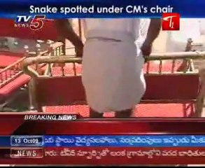 Snake spotted under CM's chair