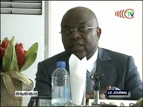 Conseil des ministres du pool énergétique de l’Afrique centrale
