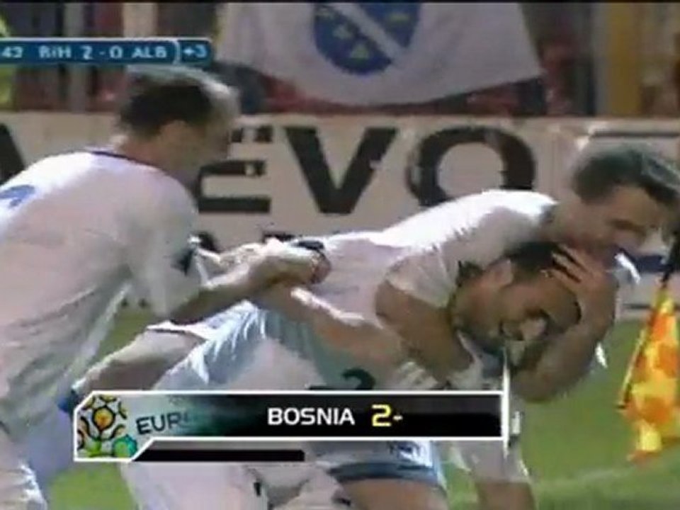 Euro 2012 - Bosnia-Herzegovina 2-0 Albania