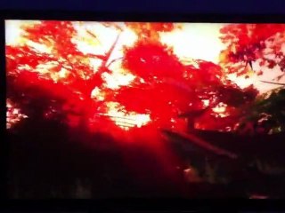 [E3 2K11]Wii U Japanese Garden Tech Demo