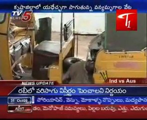 Rare Animal hunting in Krishna District