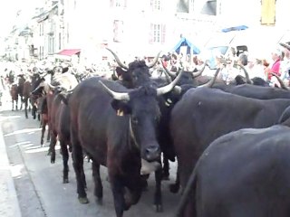 20ème fête de l'estive à Allanche (1ère partie)