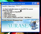 Maplestory AuraSEA Hack - Private Server Mesos Hack 2011