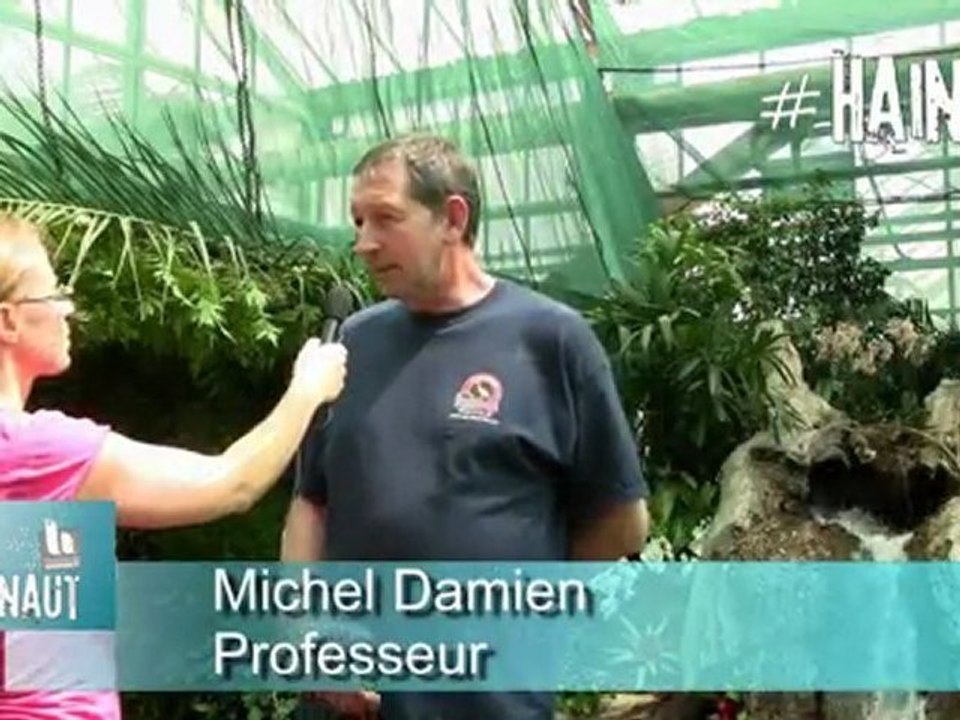 Tropicales orchidées