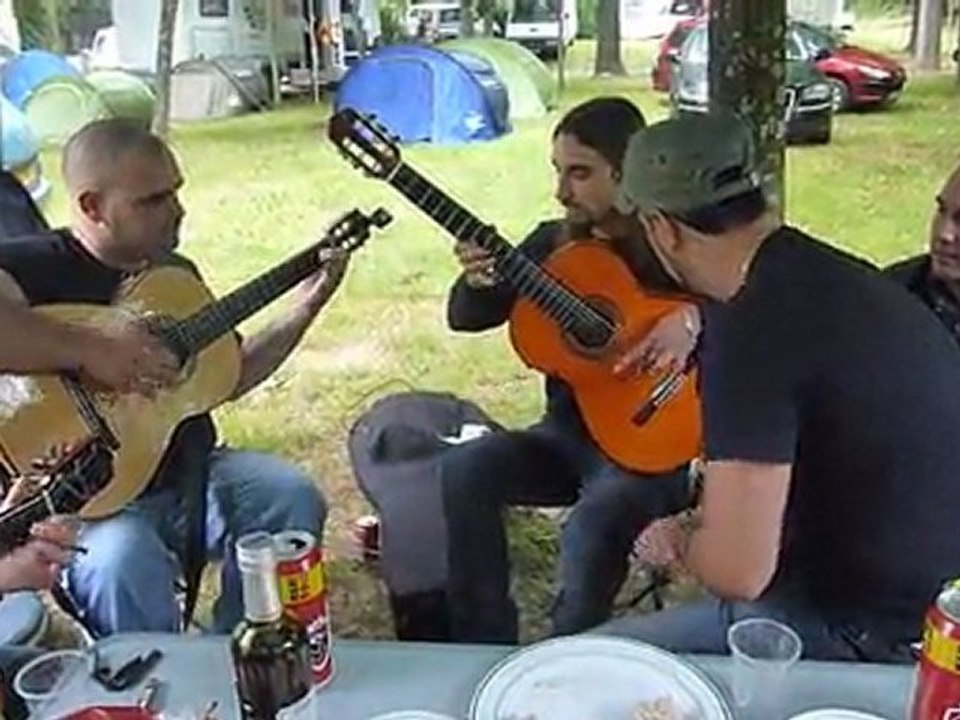 St hippo 2011 (juin) 060