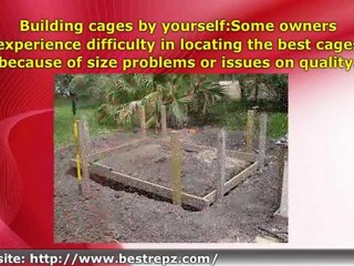 Searching Out The Perfect Reptile Cage