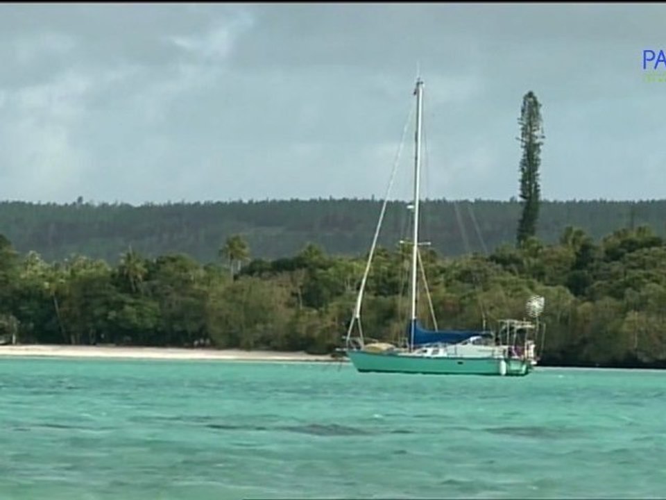 De la Martinique à la Réunion "Deux enfants autour du monde"