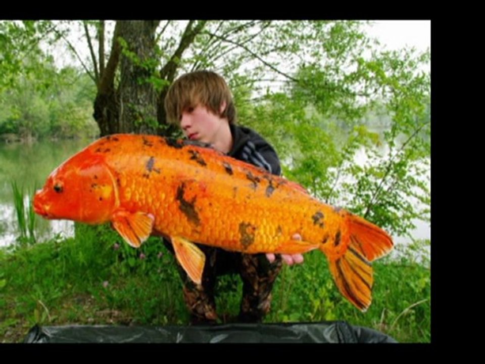 mes debut a aujourd hui