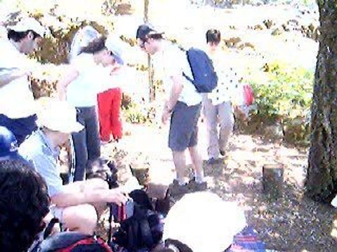 fim almoço santa luzia