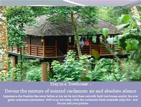 Iris Holidays - Inbound Tours Operator in Kerala