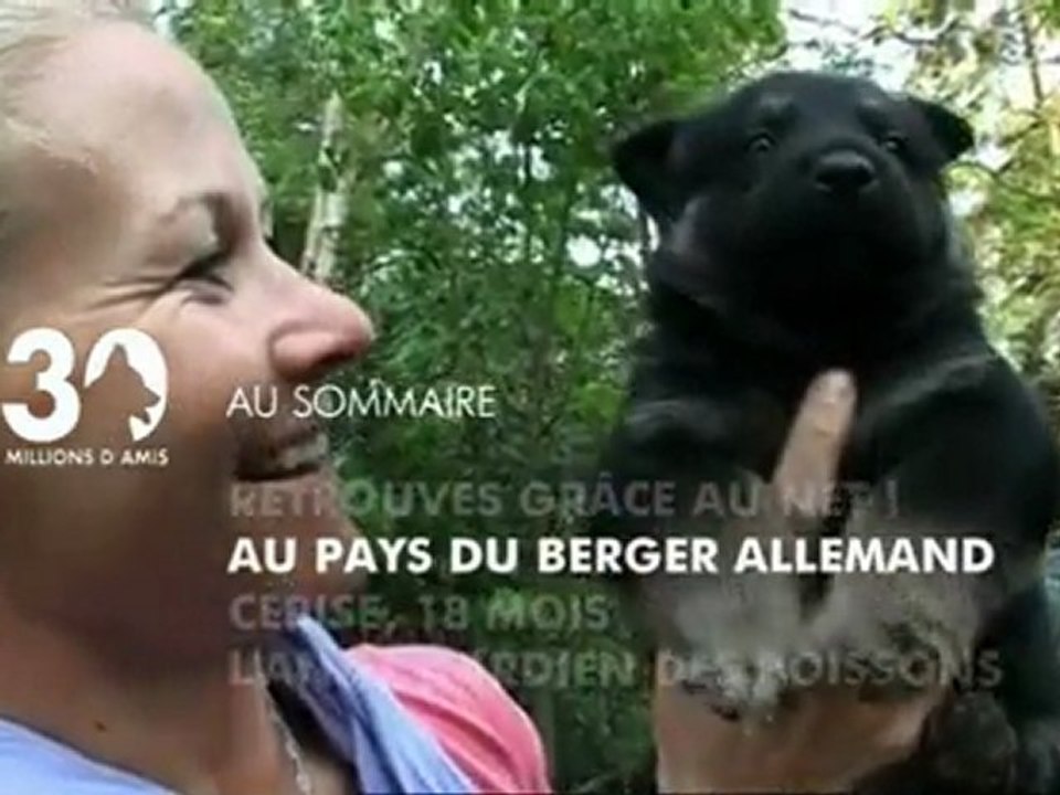 Sommaire émission 30 Millions d'Amis 12 06 11