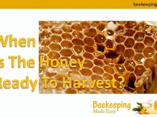 Introduction to Beekeeping