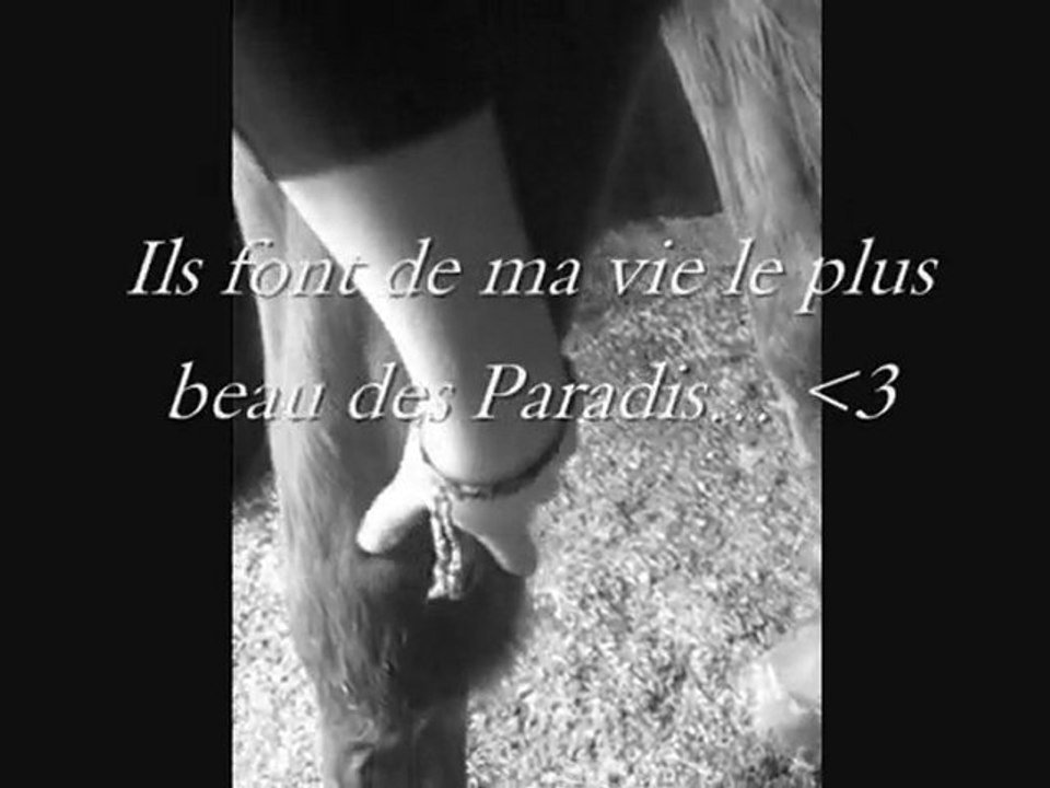 Ils font de ma vie le plus beau des paradis...