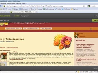 Adobe Dreamweaver CS5 : Suivi et synchronisation