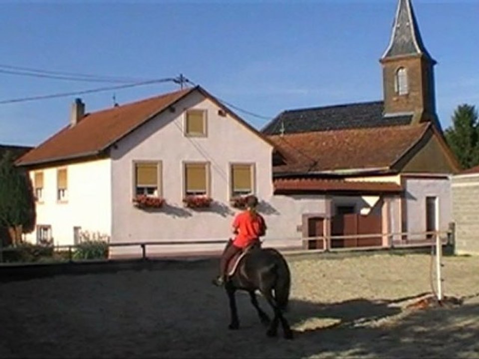Séance du 23 mai 2011