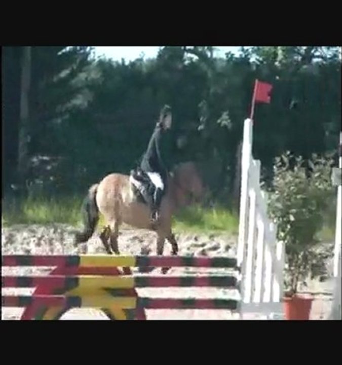 alisson et kokine a sandillon