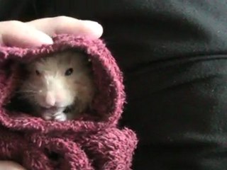 Après un bon bain, on sèche !