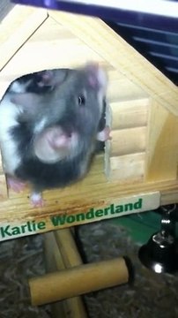 Thétis Et Voie Lactée