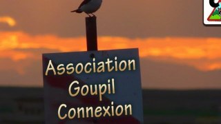 Association Goupil-Connexion et le club CPN des Blaireaux
