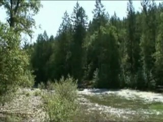 The Nature Conservancy of Canada Darkwoods Carbon Pilot ...