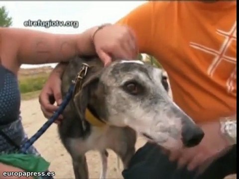 Adoptan a Ñapas tras conocer su historia