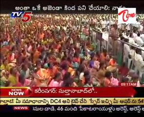 Nagam Janardana Reddy Setairs On TDP Party