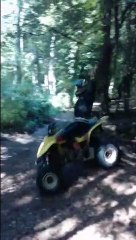 Saut qui vol !! aïe les feuilles !