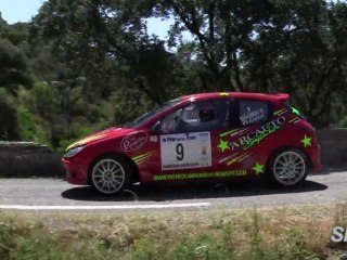 Rallye de Plan de la Tour 2011 ES 07 Vallaury part 01