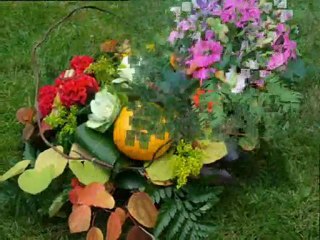 L'art floral en cap fleuriste au lycée du Mené (Merdrignac 22)