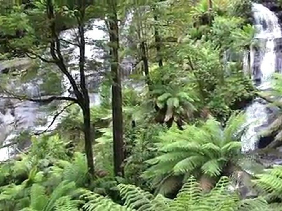 Triplet Falls, Beech Forest, Otway, Victoria