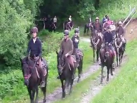 Transhumance chevaux de Mérens 2011.Ariège Pyrénées.Tournac ... Cirque de Campuls.3/3.